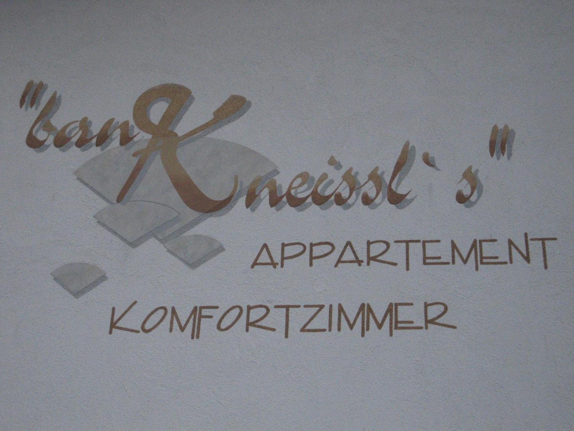Ban Kneissl'S Apartman Umhausen Kültér fotó